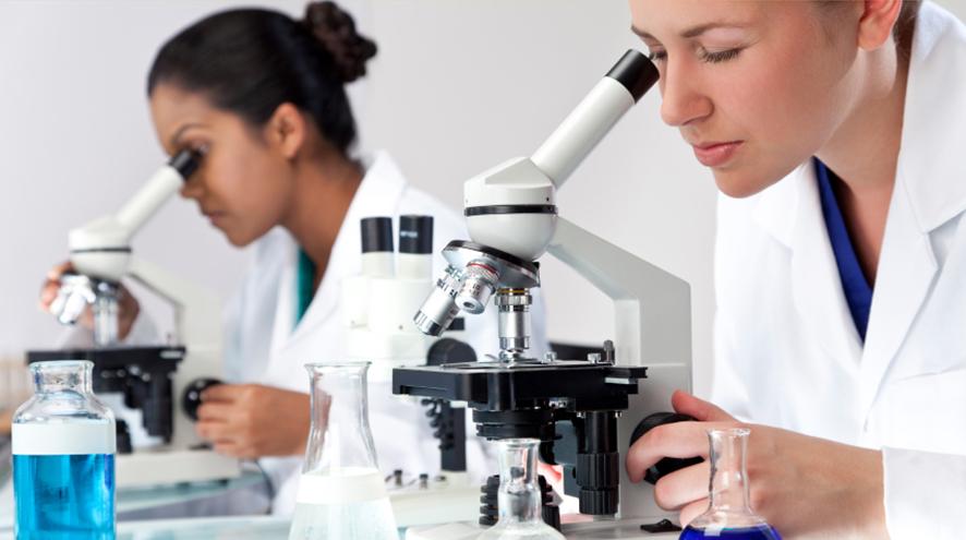 two scientists looking through microscopes