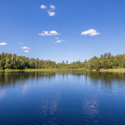 lake on a sunny day