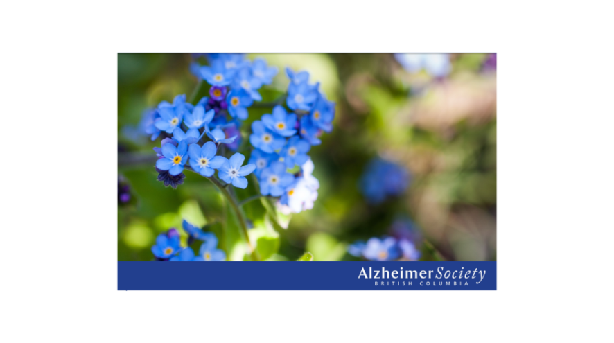 Forget me not