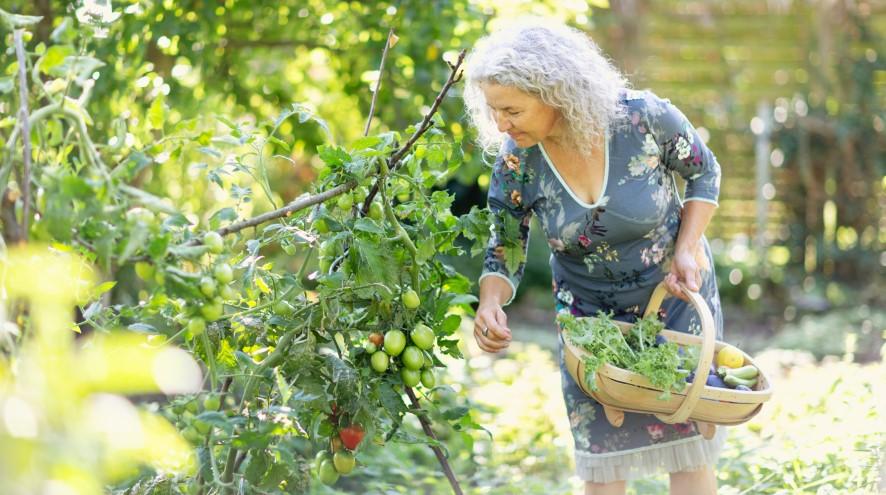 Senior woman in her garden.