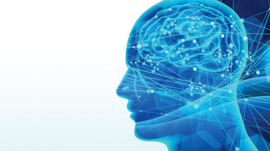 January is Alzheimer's Awareness Month! Let's talk about the importance of brain health.