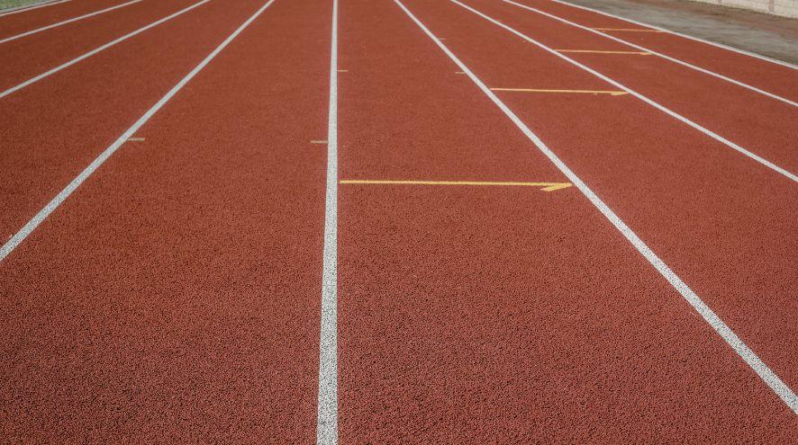 Walking track