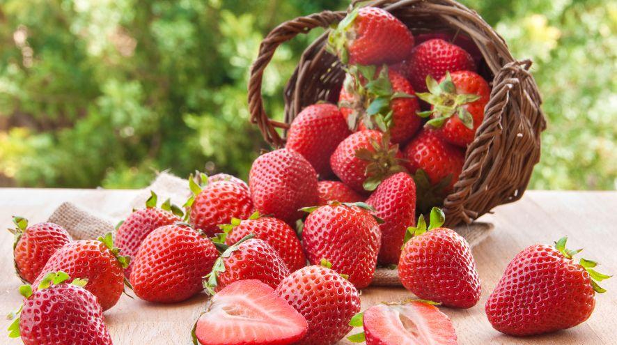 Strawberries spilling from a basket