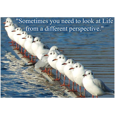 Sometimes you need to look at life from a different perspective quotation