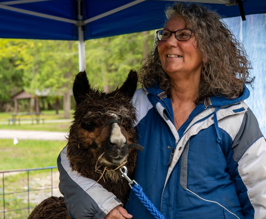 Carolyn alpaca