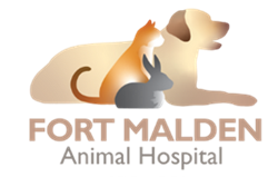 Battle of the Brains Trivia Night 2025