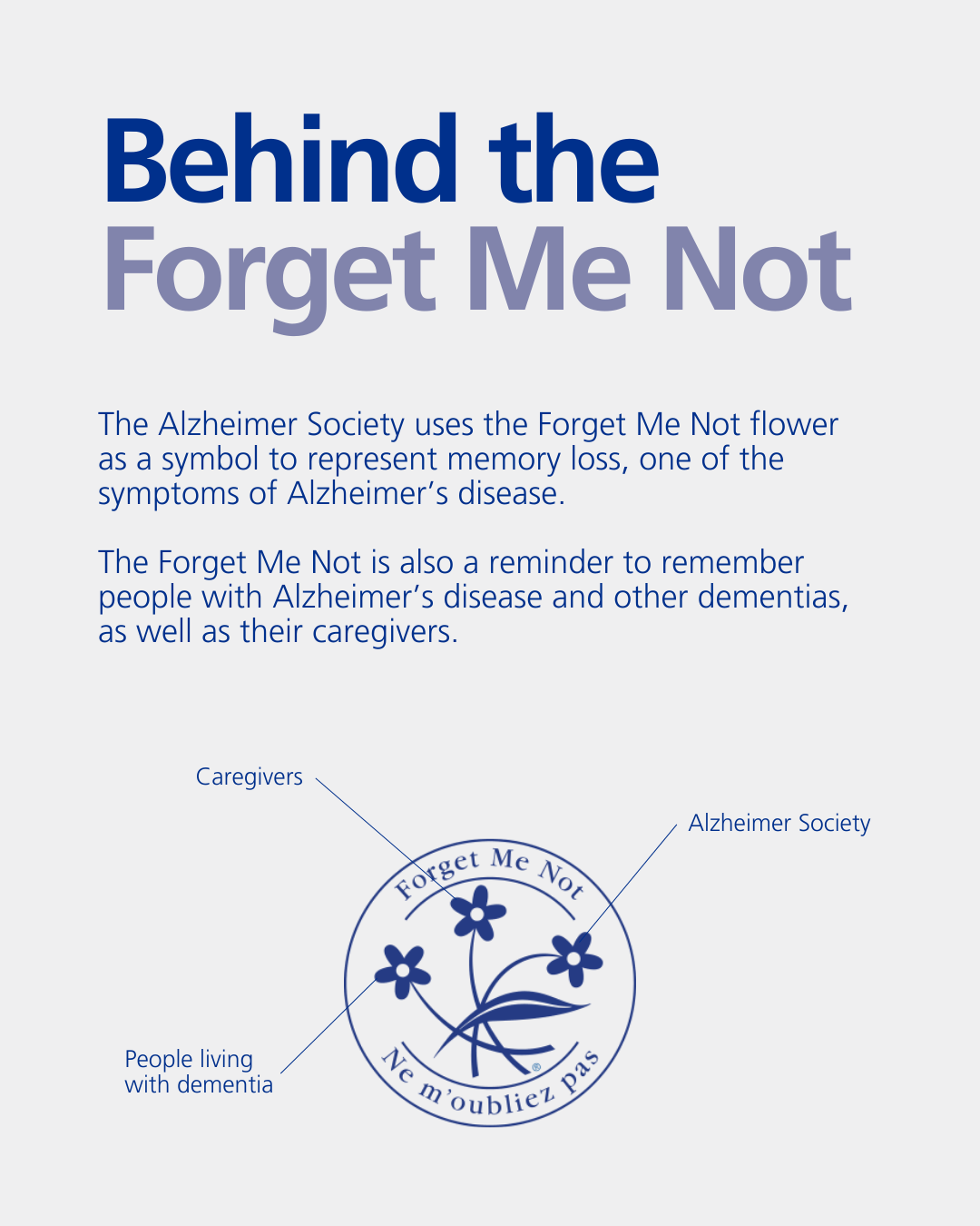 Forget Me Not - Explainer