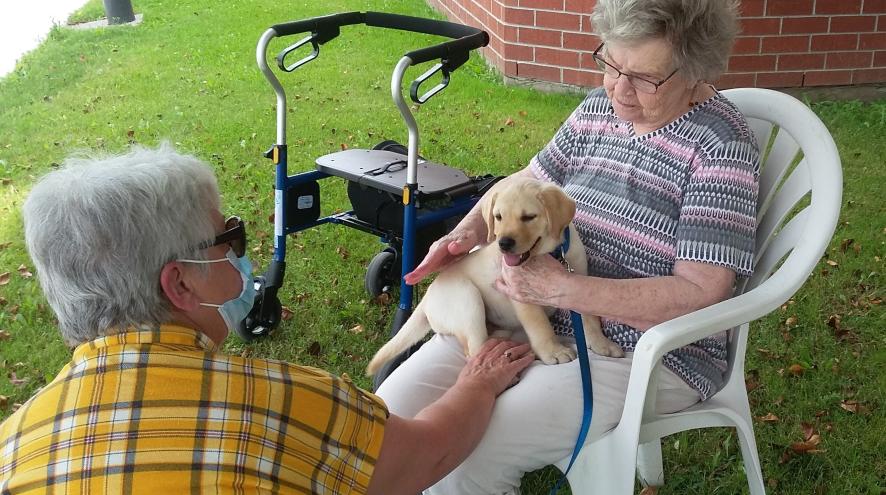 Woman wearing mask sitting in front of a woman holding a yellow lab puppy